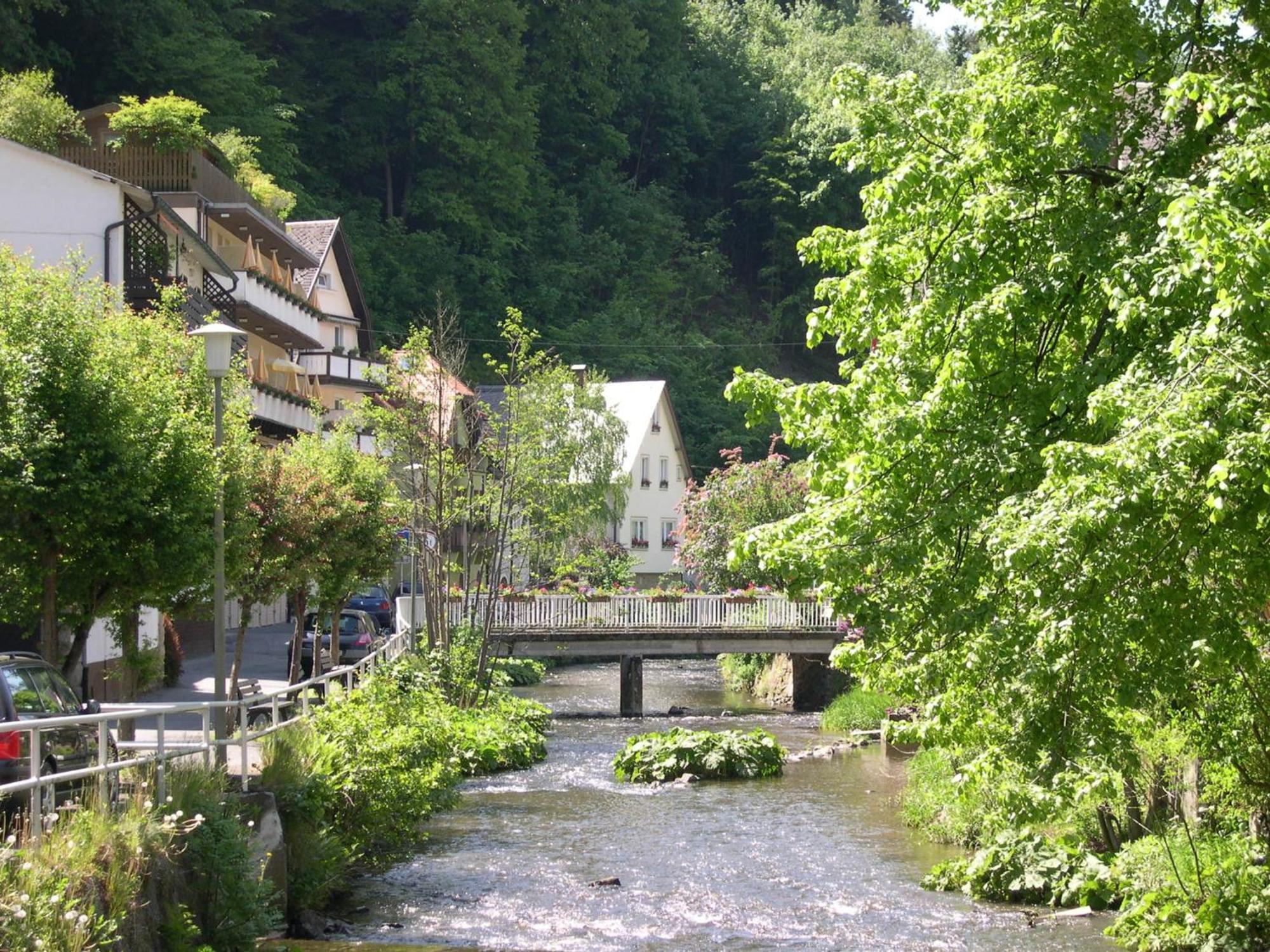 Hotel Heissinger Bad Berneck im Fichtelgebirge Eksteriør billede